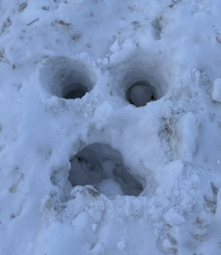 a haunted looking frowning face poked into snow with a cane